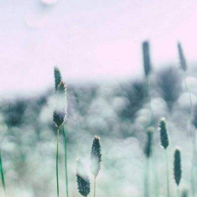 瑰雪黑阳破解版下载